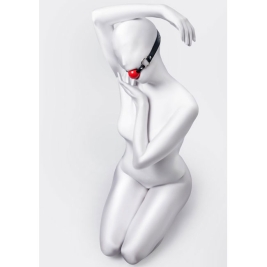 Кляп ToyFa Anonymo